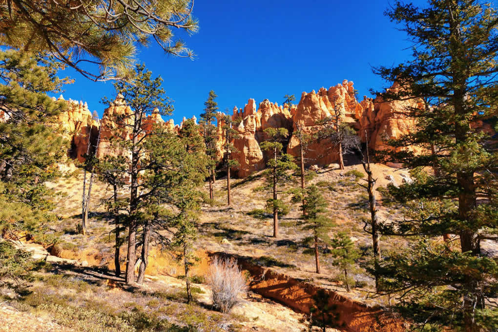 utah bryce canyon np 03