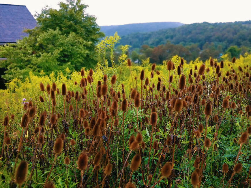 A beautiful landscape at the National Johnstown Flood Memorial in South Fork.
