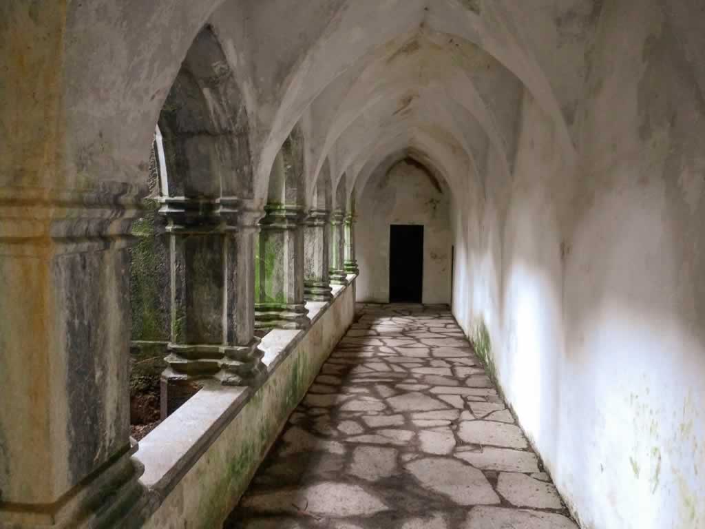 Wild Atlantic Way Ireland Killarney Muckross Abbey Walk