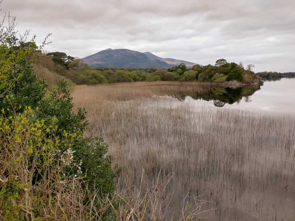 Wild Atlantic Way Ireland Killarney Muckross House Louge Leane