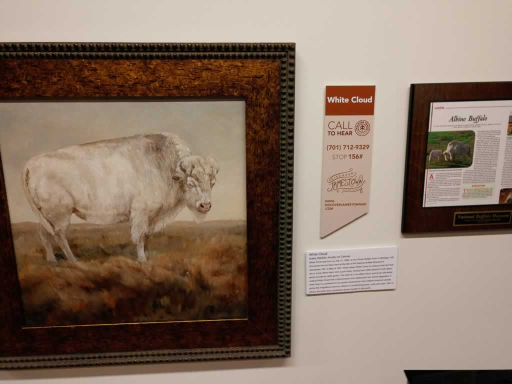 North Dakota Jamestown National Buffalo Museum Albino Buffalo White Cloud