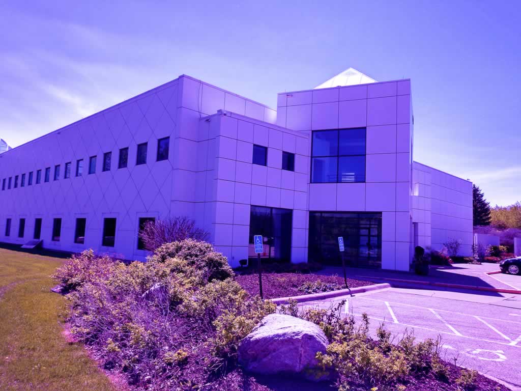 minneapolis paisley park purple in princes honor